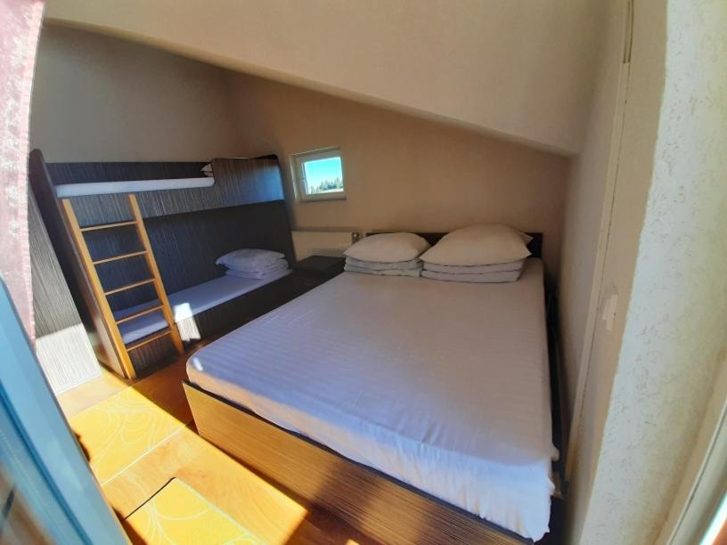 Pensiunea Alpina Casi&Spa Păltiniş Esterno foto