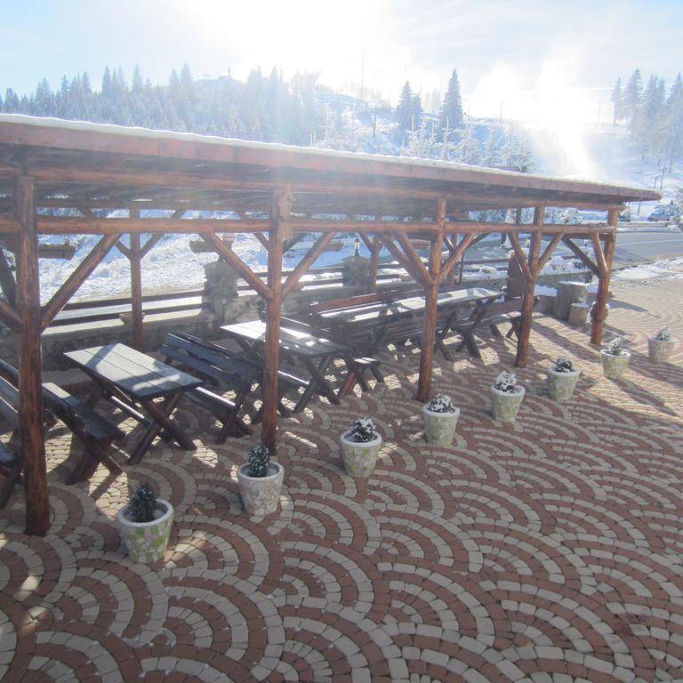 Pensiunea Alpina Casi&Spa Păltiniş Esterno foto