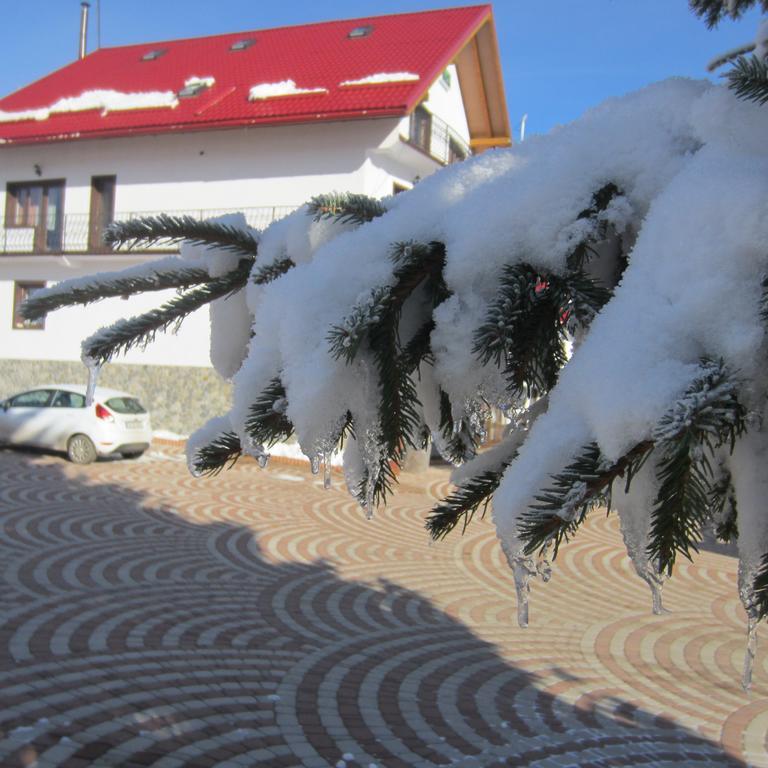 Pensiunea Alpina Casi&Spa Păltiniş Esterno foto