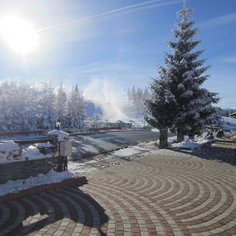 Pensiunea Alpina Casi&Spa Păltiniş Esterno foto