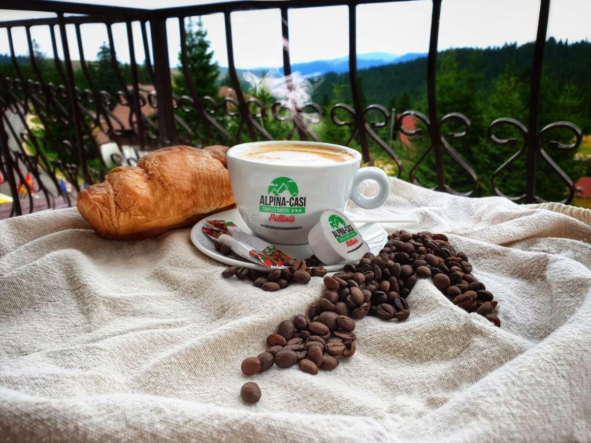 Pensiunea Alpina Casi&Spa Păltiniş Esterno foto