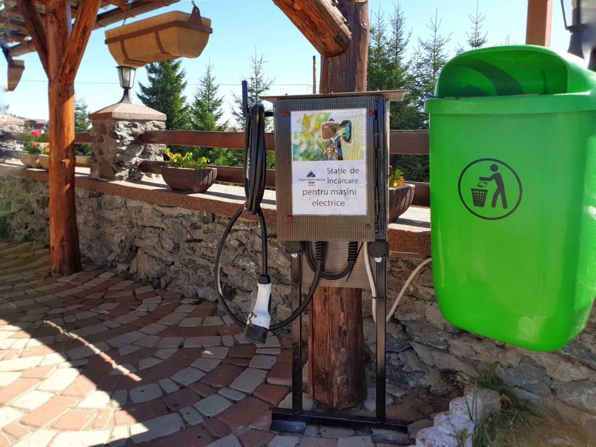 Pensiunea Alpina Casi&Spa Păltiniş Esterno foto