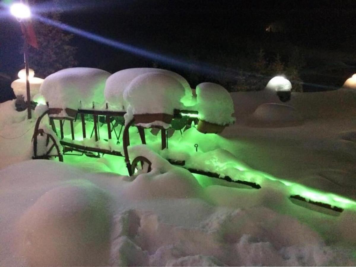 Pensiunea Alpina Casi&Spa Păltiniş Esterno foto